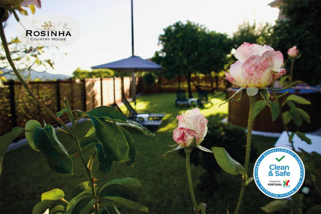Rosinha Country House Vale de Cambra Exteriör bild
