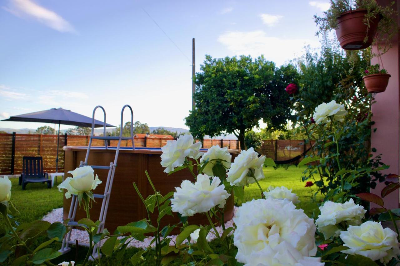 Rosinha Country House Vale de Cambra Exteriör bild